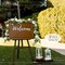 2PCS Artificial Eucalyptus Flower Garland – Champagne Rose Vine with Seeded Eucalyptus Leaves, Greenery Garland for Wedding Table, Backdrop, Party & Room Decor (Total 13FT)